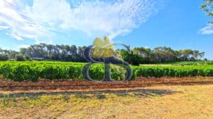 À vendre – Propriété viticole de charme au cœur de la Provence Verte