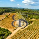 À vendre – Propriété viticole de charme au cœur de la Provence Verte