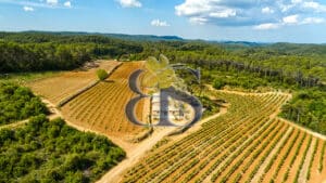 À vendre – Propriété viticole de charme au cœur de la Provence Verte
